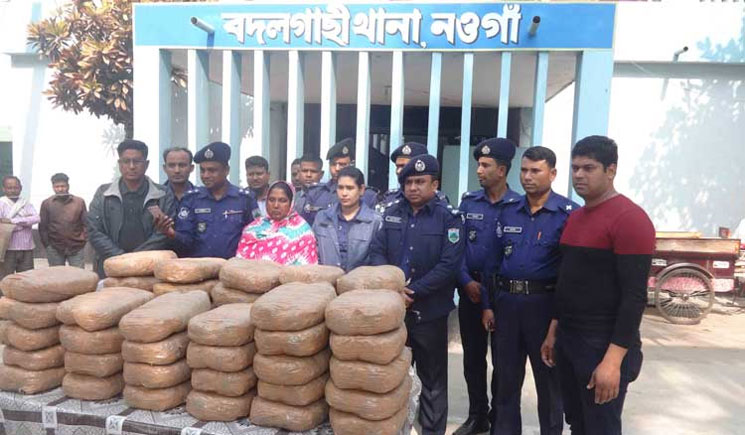 নওগাঁয় ১৭ লাখ টাকার গাঁজাসহ এক নারীকে আটক ১