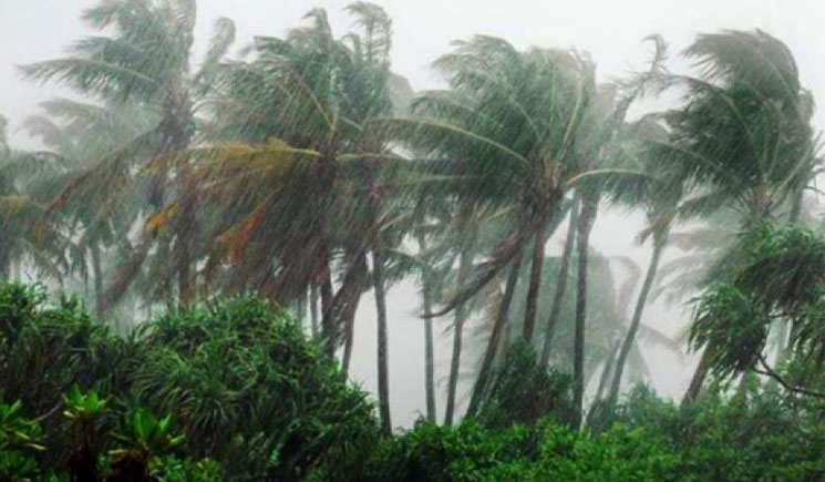 বসন্তের শুরুতেই ঝড়-বৃষ্টির আভাস