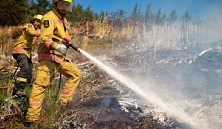 ‘সৃষ্টিকর্তার হাতে’ নিউজিল্যান্ডের গ্রাম!