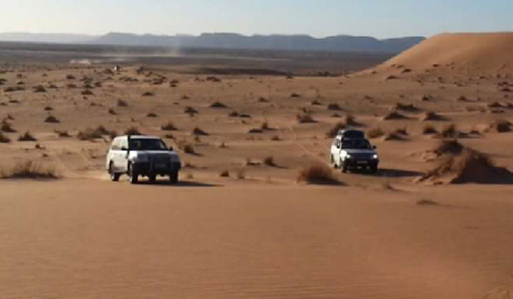 চাদে অভিযান, আড়াইশতাধিক বিদ্রোহী আটক