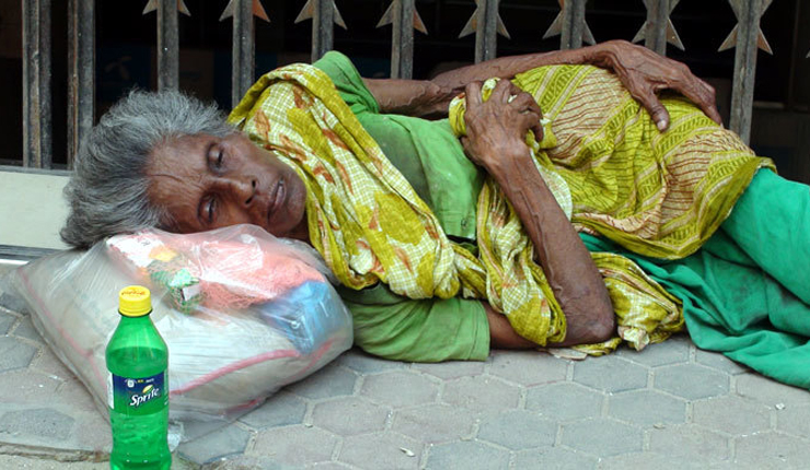 ৮০ বছরের বৃদ্ধা হামিদা খাতুন