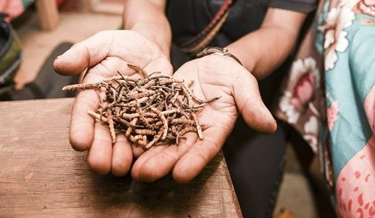 সংগৃহীত