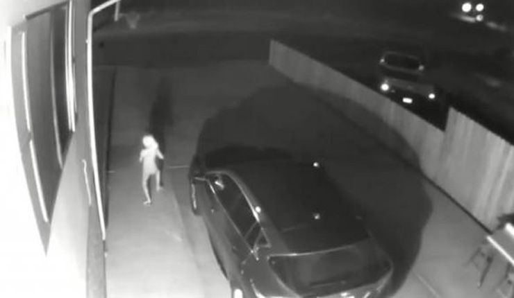 বাড়ির সিসি ক্যামেরায় ধরা পড়লো ‘ভিনগ্রহী প্রাণী’, ভিডিও ভাইরাল 