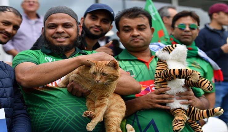 বিড়ালের কথাই সত্য হলো, জিতল টাইগাররা!