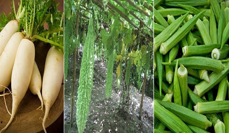 ডায়াবেটিস কমবে যে তিন দেশি সবজিতে 