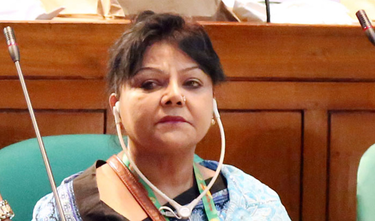 সংসদে অ্যাডভোকেট সালমা ইসলাম এমপি। ফাইল ছবি