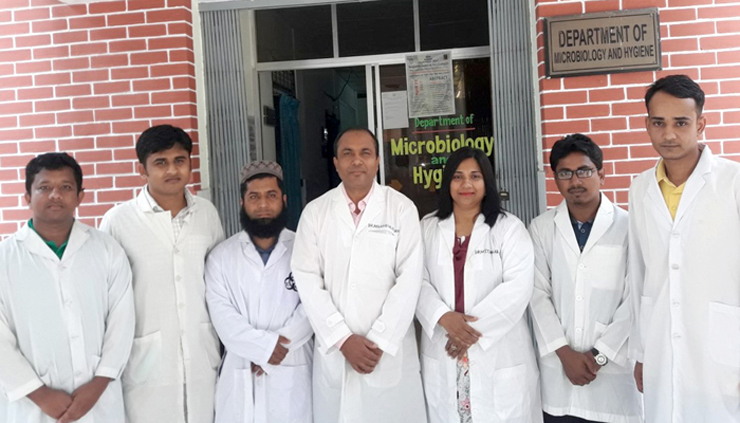 সাফল্য বাকৃবির : গরুর ব্রুসেলোসিস রোগের ব্যাকটেরিয়া শনাক্ত