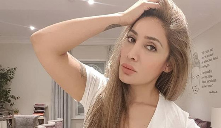 ফের রগরগে সোফিয়ার আগমন!