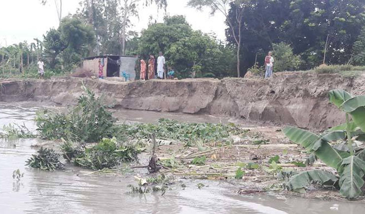 ফের পদ্মার থাবায় শরীয়তপুর, ১৫ বাড়িঘর বিলীন