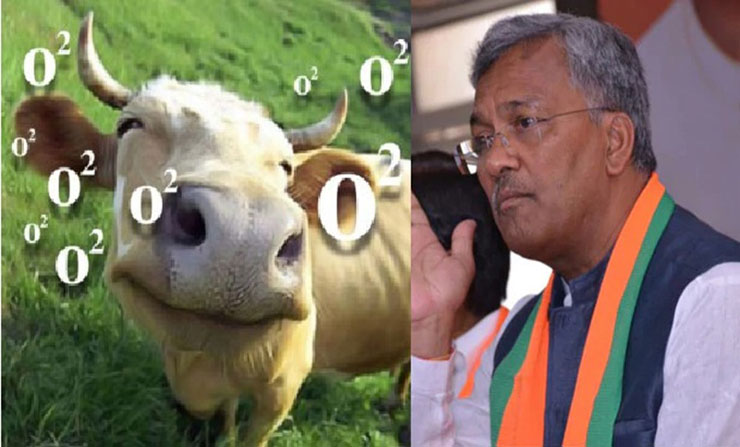 ‘গরু নিঃশ্বাস ত্যাগের সময় অক্সিজেন ছাড়ে, কাছে থাকলে যক্ষা সারে’!