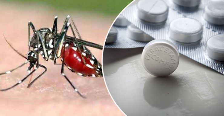 ডেঙ্গু হলে প্যারাসিটামল ব্যতীত অন্য ওষুধ নয়