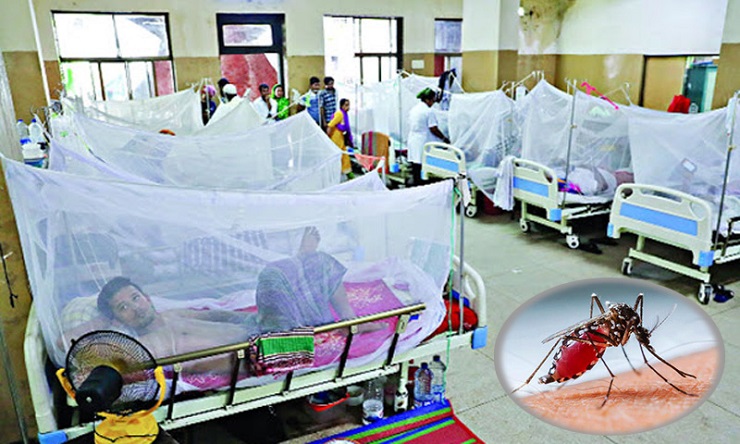 ২৪ ঘণ্টায় হাসপাতালে ৮২০ ডেঙ্গু রোগী