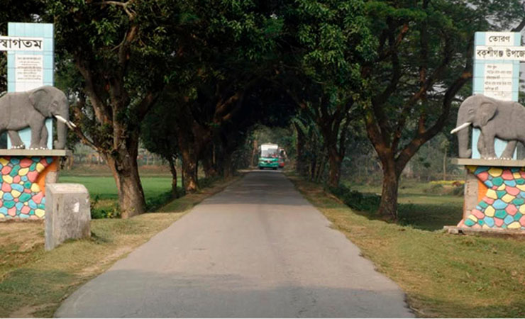 কাঁটাতার পেরিয়ে যায় হুন্ডির টাকা, আসে ইয়াবা