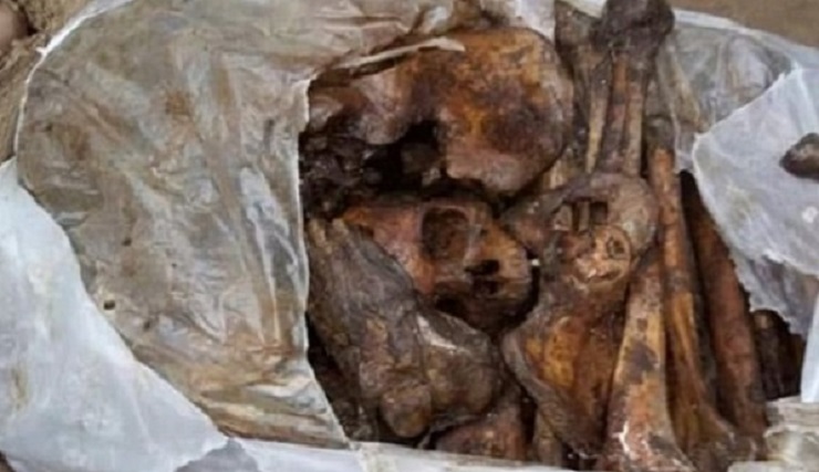 বাস কাউন্টারে মিলল মানুষের খুলি ও চার বস্তা হাড়