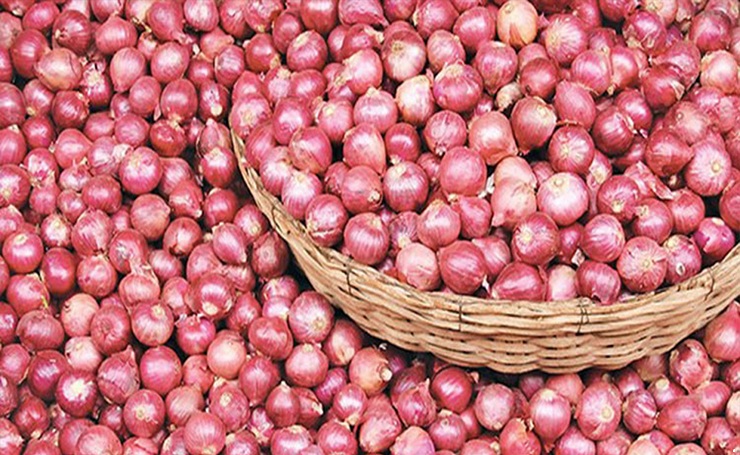 একদিনেই আসল ৫৩৬ টন পেঁয়াজ