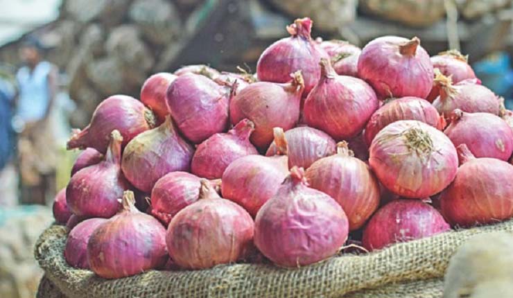 কবে থেকে ফের পেঁয়াজ রপ্তানি শুরু করবে ভারত?