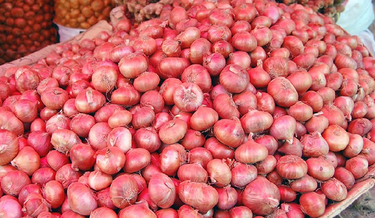 আবার বাড়ল পেঁয়াজের দাম  