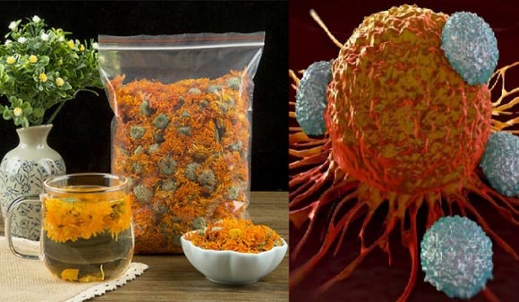টিউমারের বৃদ্ধি ঠেকায় ফুলের চা