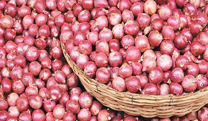 পেঁয়াজের বড় চালান আসছে