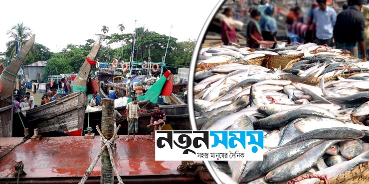 ইলিশের কেজি ২০০ টাকা