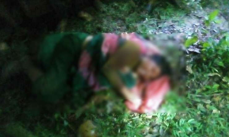 বরিশালে জঙ্গল থেকে রক্তাক্ত অবস্থায় নারী উদ্ধার