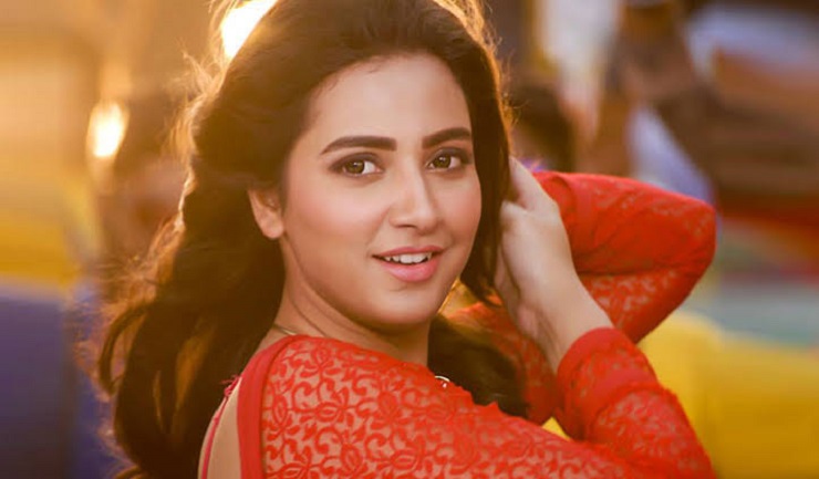 গোলাপি গাউনে উত্তাল নাচ, ভাইরাল শুভশ্রী (ভিডিও)
