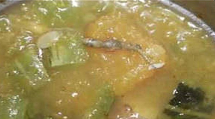 হাসপাতালে রোগীর খাবারে মরা টিকটিকি!