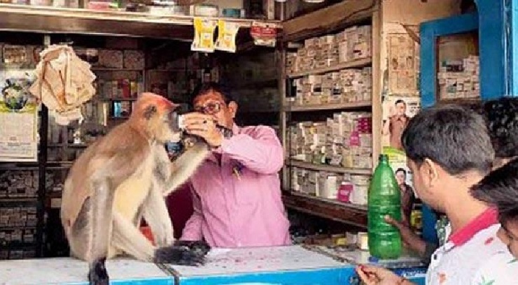 রিকশায় চড়ে ফার্মেসিতে চিকিৎসা নিল আহত হনুমান