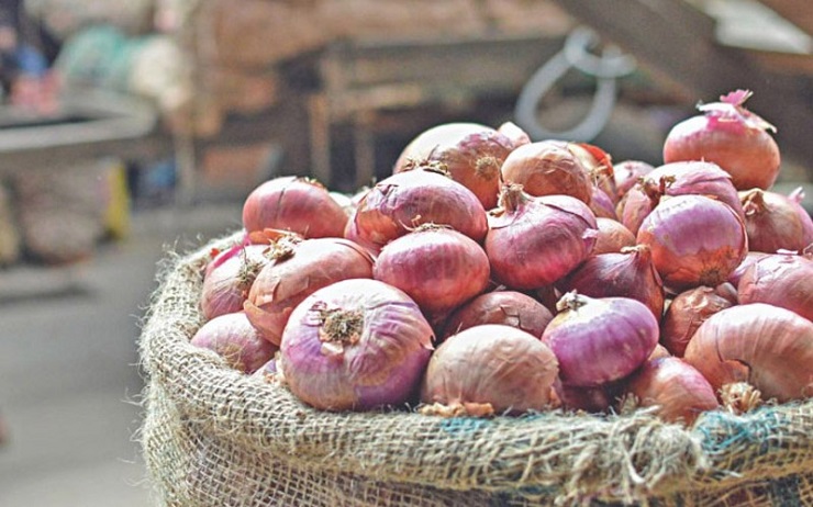 কেজিতে ৭০ টাকা কমেছে পেঁয়াজ