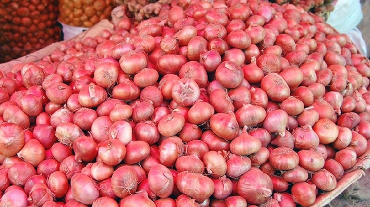 ভাগাড়ে ফেলে দেয়া হলো বস্তা বস্তা পেঁয়াজ