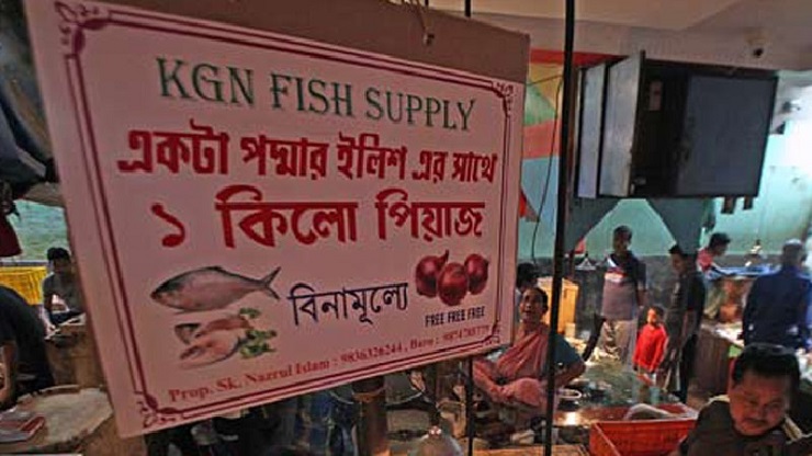 একটি পদ্মার ইলিশ কিনলেই এক কেজি পেঁয়াজ ফ্রি!