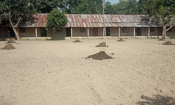 এমপিওভুক্ত না হওয়ায় শিক্ষা প্রতিষ্ঠানে আলু চাষ!