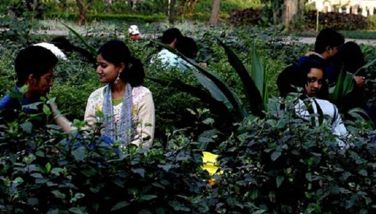 ৫০টাকায় মেলে গার্লফ্রেন্ড 