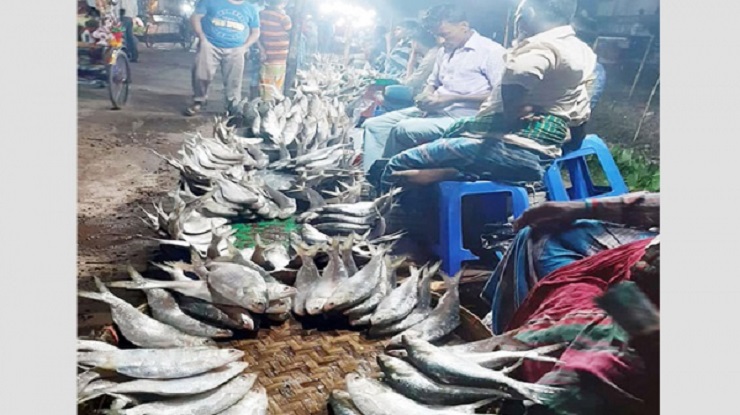 অসময়ে ঝাঁকে ঝাঁকে ইলিশ, জেলেপাড়ায় আনন্দ