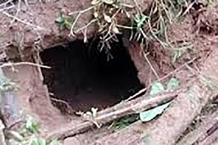 গাজীপুরে ৩০ কংকাল চুরি