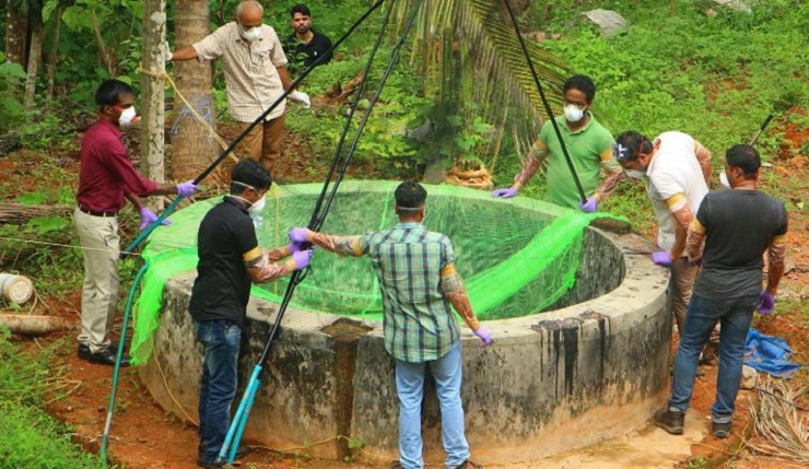 প্রাণঘাতী করোনাভাইরাস ছড়িয়েছে বাদুড় থেকে!