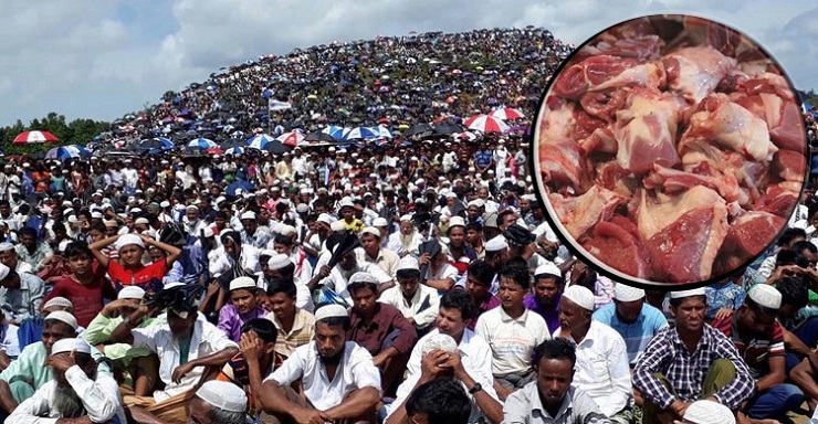 রোহিঙ্গাদের জন্য ৪০ হাজার কার্টন কোরবানির মাংস পাঠাচ্ছে সৌদি