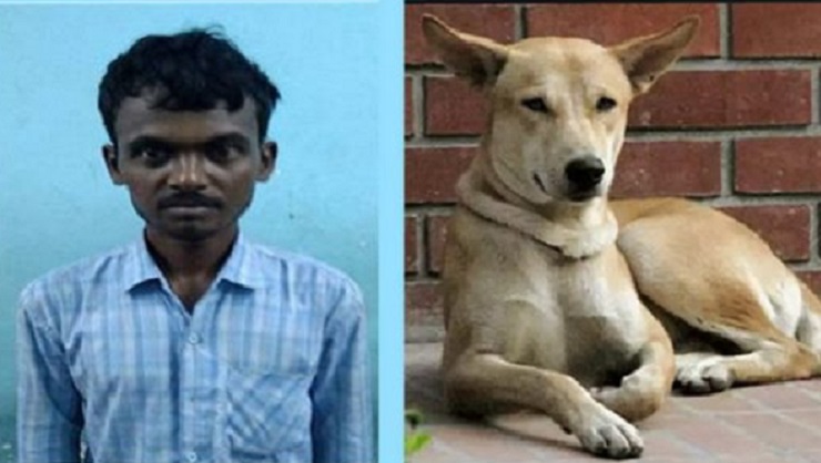 কুকুরকে ধর্ষণের অভিযোগে দিনমজুর যুবক গ্রেপ্তার