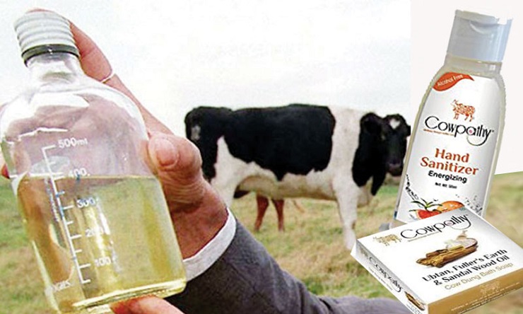 করোনা প্রতিরোধে ভারতে গোমূত্রের স্যানিটাইজার বিক্রির ধুম!