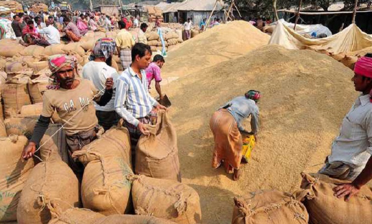 আমন সংগ্রহে সরকারের রেকর্ড