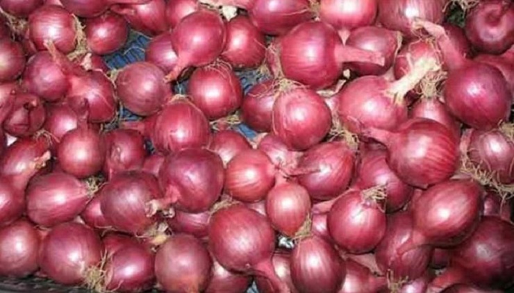 প্রতি কেজি ২১ টাকা দরে পেঁয়াজ আসছে রোববার