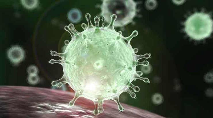 প্রধানমন্ত্রীর নাম করে বাবাকে বাইরে যাওয়া থেকে আটকাচ্ছেন মেয়ে (ভিডিও)