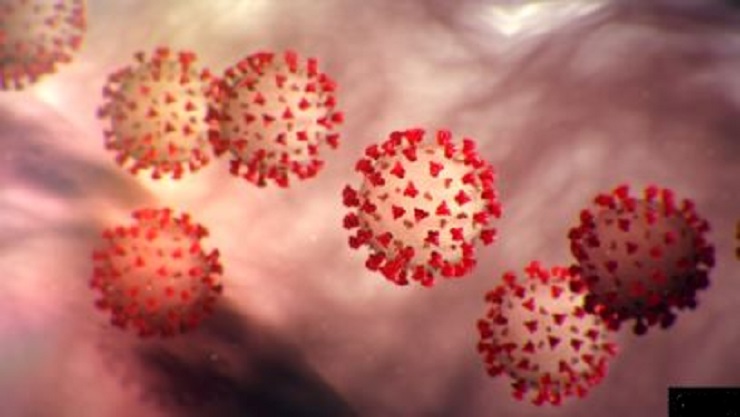 যেসব দেশে করোনা নেই এখনো