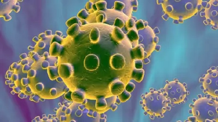 করোনাকে 'হত্যাকারী' আখ্যা দিলেন ফ্রান্সের স্বাস্থ্য বিভাগের পরিচালক