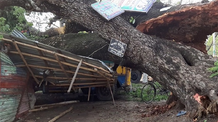 ৩০ মিনিটের টর্নেডোর আঘাতে লণ্ডভণ্ড চুয়াডাঙ্গা