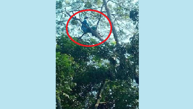 গভীর রাতে মাদ্রাসাছাত্রকে মগডালে তুলল জিন!