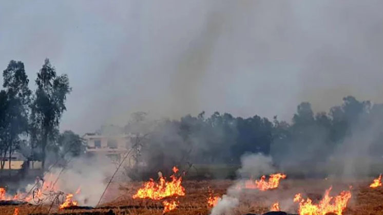 দিল্লির দূষণের জন্য দায়ী পাকিস্তান! 
