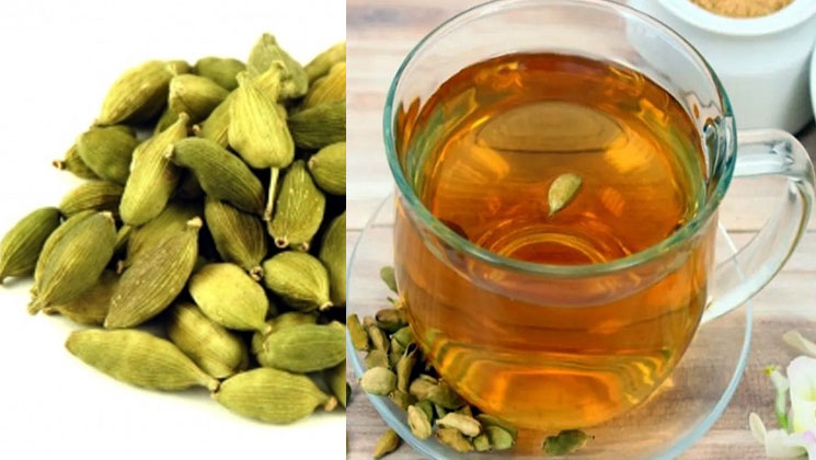 সকালে এলাচ ভিজিয়ে পানি খান, সারবে বহু অসুখ
