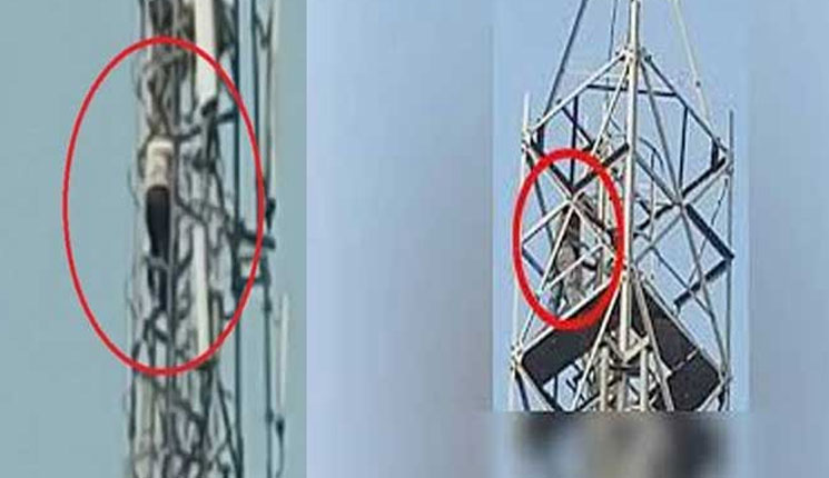 ত্রীর সঙ্গে ঝগড়া করে মোবাইল টাওয়ারে স্বামী, অতঃপর…