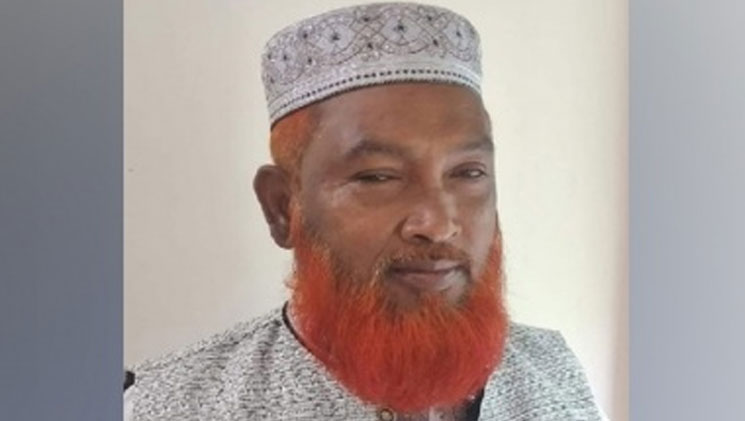 নৌকা প্রতীককে ‘অবমাননা’ করে আ. লীগ নেতার বক্তব্য, ভিডিও ভাইরাল